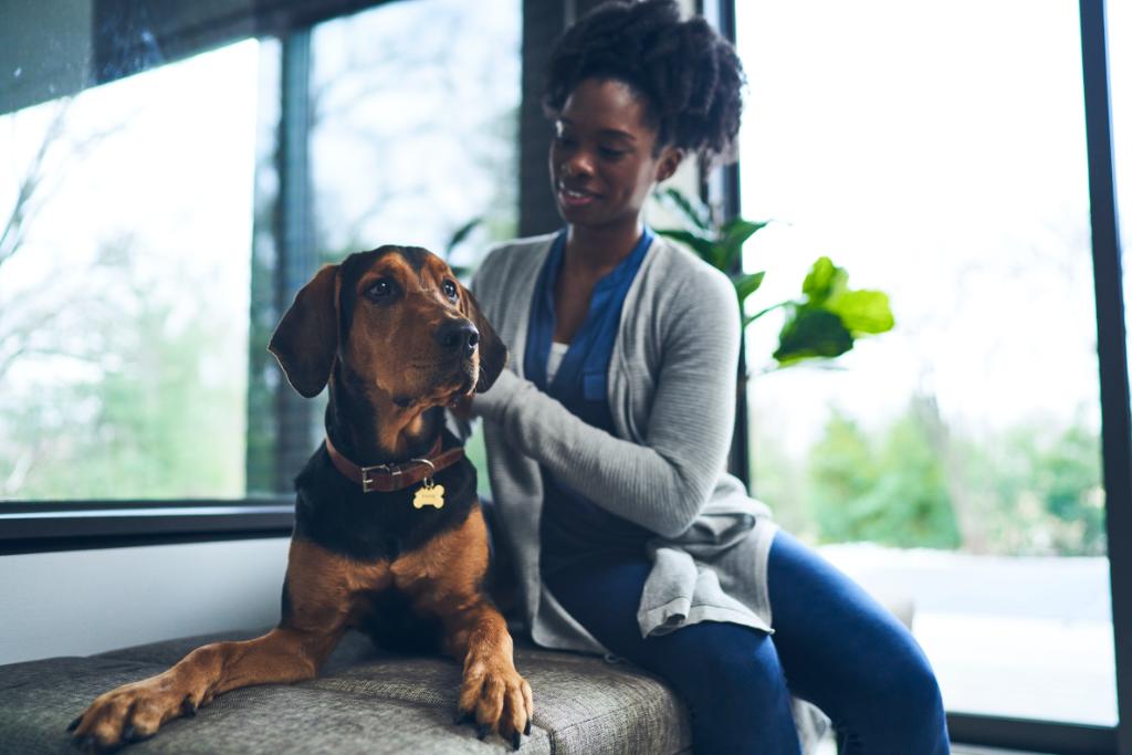 Did you know that today is #NationalIDYourPetDay? Keep your pet safe by adding an ID tag to your pet's collar in case they get lost. This will make it easier for someone to help your pet find their way home. Check back soon for more ways that you can keep your pet safe.