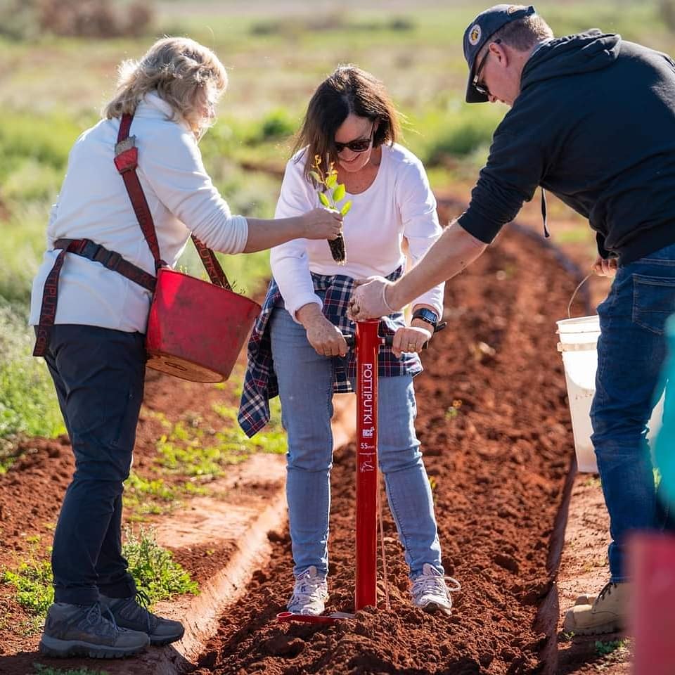 Austral Fisheries (@australfish) on Twitter photo 🌳 Austral's Perth-based team recently took the opportunity to visit Perenjori - the location of the tree planting program run by <a href="/carbonneutralAU/">Carbon Neutral</a> who we've teamed up with since 2016 to make the business carbon neutral.
More here: lnkd.in/gafz9VZ
#carbonneutral 🌳 Austral's Perth-based team recently took the opportunity to visit Perenjori - the location of the tree planting program run by <a href="/carbonneutralAU/">Carbon Neutral</a> who we've teamed up with since 2016 to make the business carbon neutral.
More here: lnkd.in/gafz9VZ
#carbonneutral