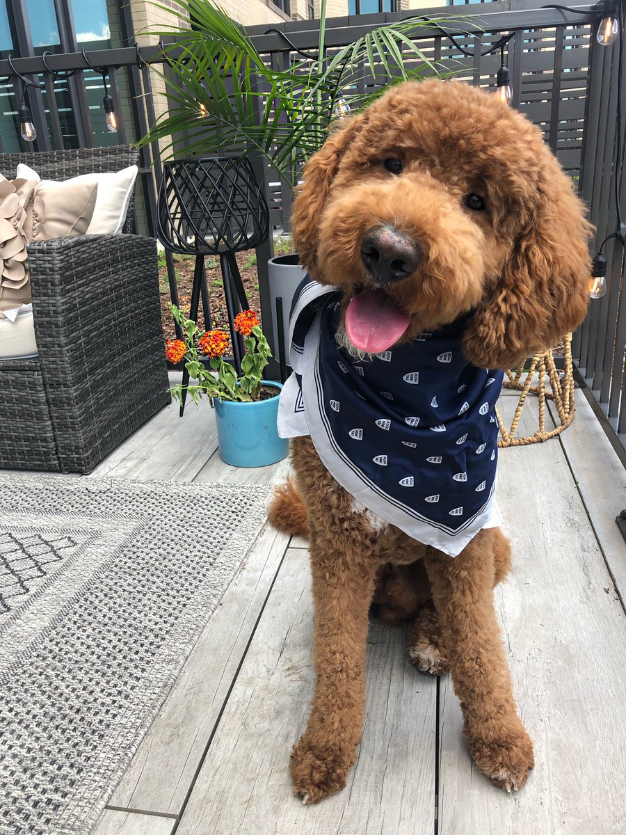 Shannon Anderson, MD tweet media