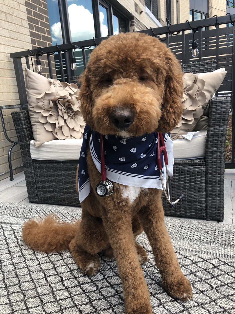 Shannon Anderson, MD tweet media