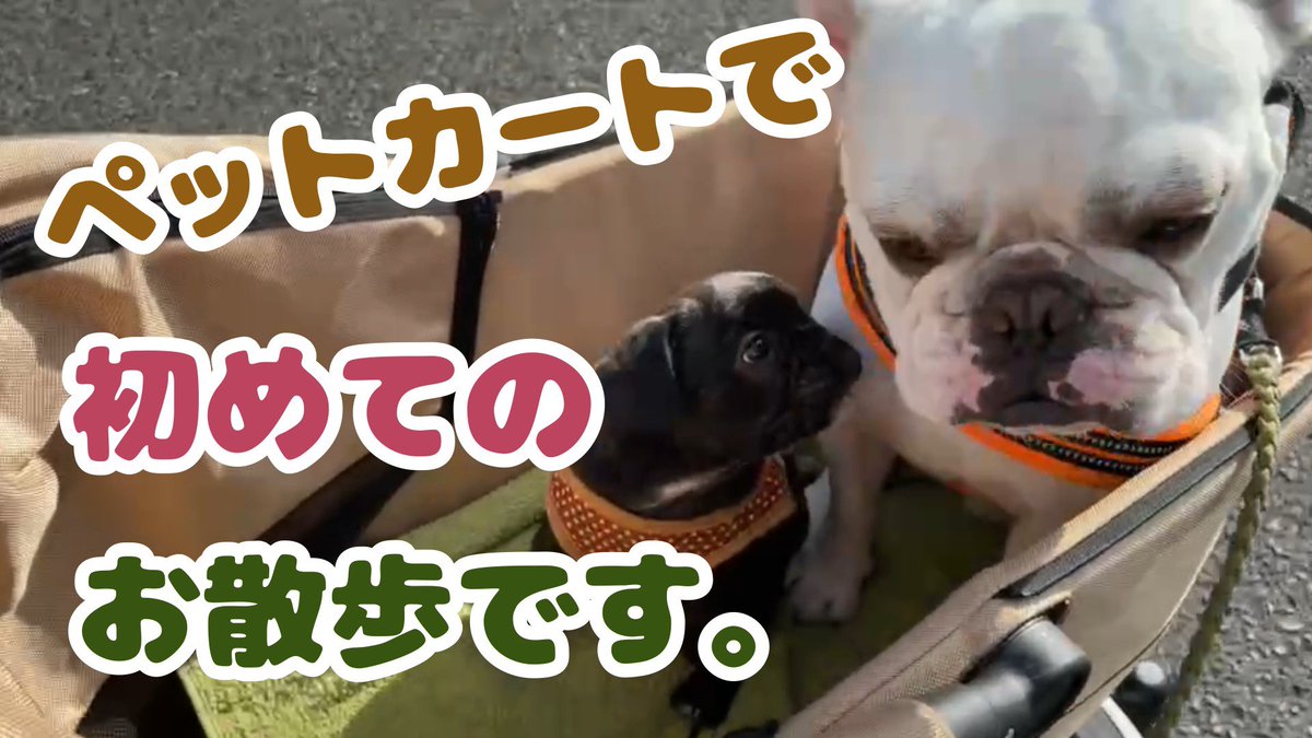 KFureburu's tweet photo. YouTube UPしました😊
良かったら観てね〜😊 https://t.co/vPECJEI5xJ