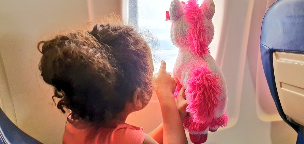 AbigailEChang's tweet photo. The travelling 🦄 is at it again
#travelSolomonIslands #schoolholidays https://t.co/k6T7Iat6Fo
