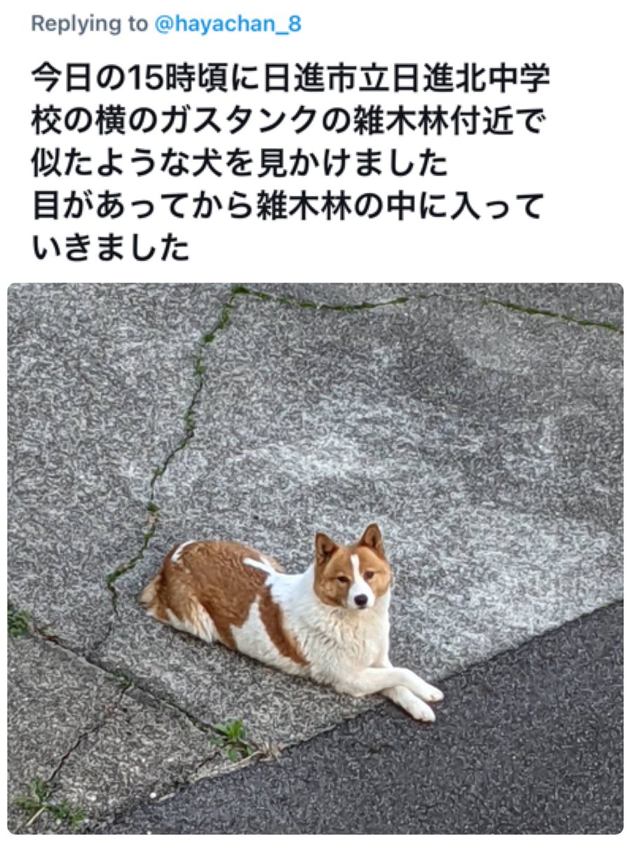 愛知県動物愛護センター 愛知県動物愛護センター