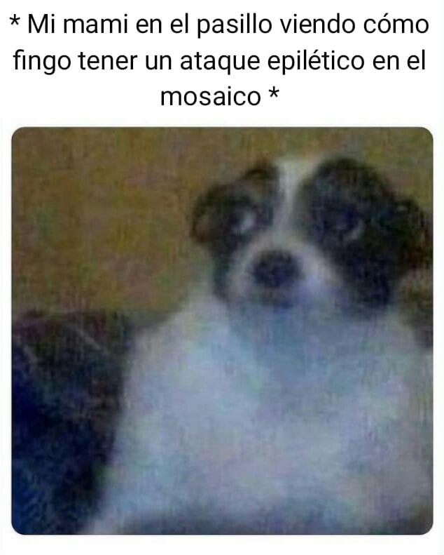 FRAG_AI_'s tweet photo. Aquí actuando ser un paciente que jamás he visto en mi vida🙂🙂🙂 #sinpracticas #sinpractica #utalcasinpracticas #medicosonline @UTalca #MedicinaUTALMiente
#sinpracticas
#MedicinaUTALencrisis
#UTalcaSinPracticas
#medicosonline
#YMedUTALSigueSinPrácticas
#YMedUTALSinPrácticas https://t.co/J4dSqRyJLk