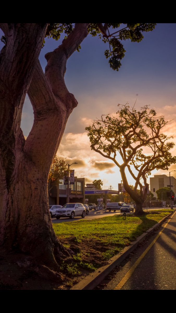 richardgreenla's tweet photo. Almost Sunset Marina Del Rey CA..
..
#la #beach #ca
#richardgreenla #venicebeachcalifornia #marinadelrey #sunset #getlost #explorer #createexplore #toptravel #thebestdestinations #globe_travel #earthofficial #natgeo #nationalgeographic #awesome_ #landscape_lovers #california https://t.co/K6opp2g0rW