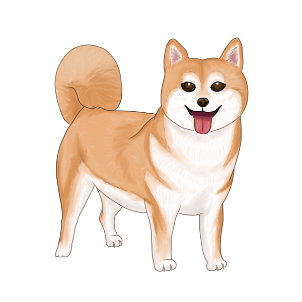 もちまる イラスト系のブログ You Tube イラスト 柴犬 描き方 柴犬を描いてみました 詳しくはブログに載っています T Co Xzeqrlhtld T Co Gn0qmr8lgi Twitter もちまる イラスト系のブログ You Tube イラスト 柴犬 描き方 柴犬を描いてみました 詳しくはブログに載っています T Co Xzeqrlhtld T Co Gn0qmr8lgi Twitter