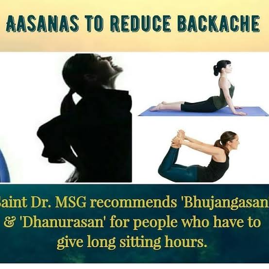 Saint Dr. @Gurmeetramrahim Ji recommends 'Bhujangasan' & 'Dhanurasan' for people who have to give long sitting hours.
@derasachasauda
#FridayFitness