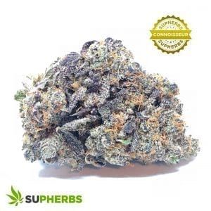 SUPHERBS1's tweet image. WEED BUNDLES ARE ON SALE RIGHT NOW!  $140 FOR A MIX PACK VARIETY!

buff.ly/3vaM7Sg

#SAMPLEPACKS #MIXPACKS #BUNDLES #WEEDBUNDLES #CALGARY #YYC #YYCNOW #YYCBUZZ