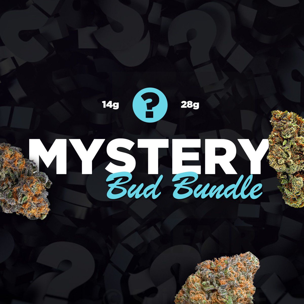 SUPHERBS1's tweet image. WEED BUNDLES ARE ON SALE RIGHT NOW!  $140 FOR A MIX PACK VARIETY!

buff.ly/3vaM7Sg

#SAMPLEPACKS #MIXPACKS #BUNDLES #WEEDBUNDLES #CALGARY #YYC #YYCNOW #YYCBUZZ