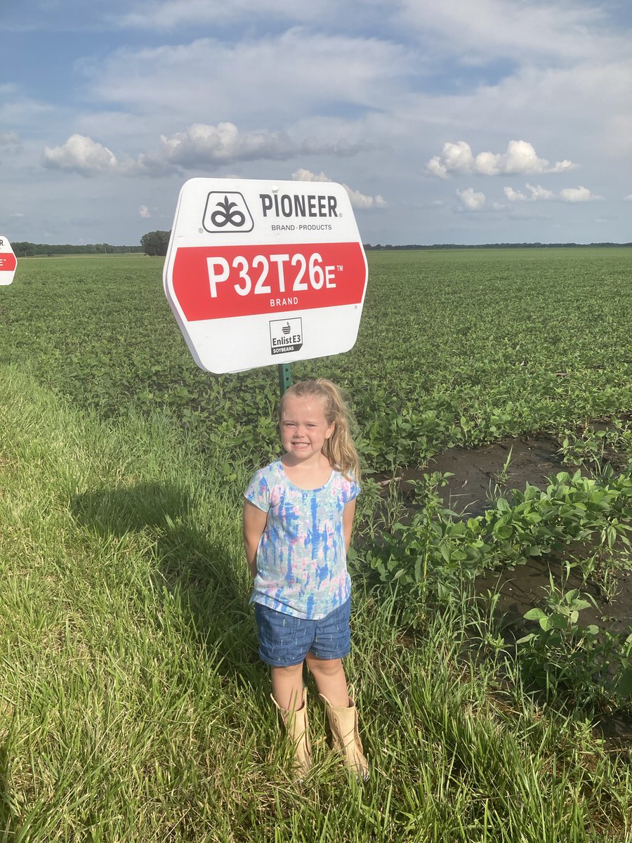 Clint Dambacher tweet media