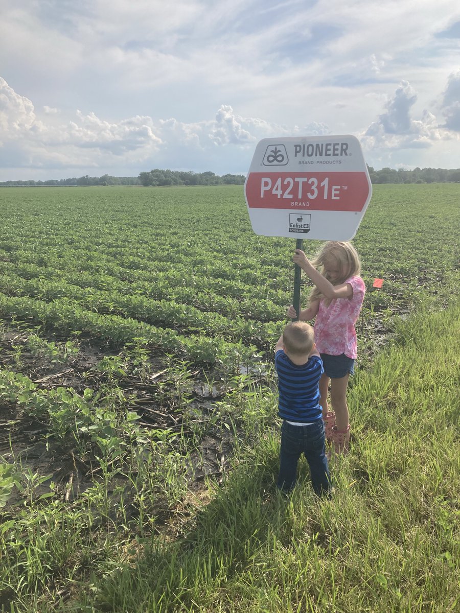 Clint Dambacher tweet media