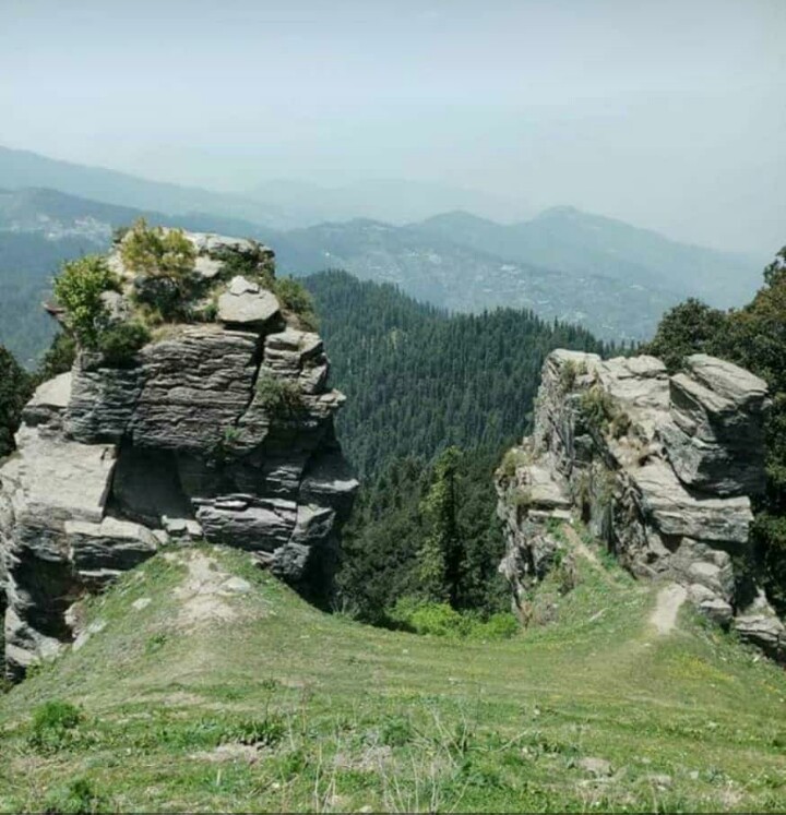 Tani - jubber lake (Shimla)💚
#GoodMorningEveryone
#Shimla #HimachalPradesh #Mountain #freshwaterlake 
#NaturePhotography 💞