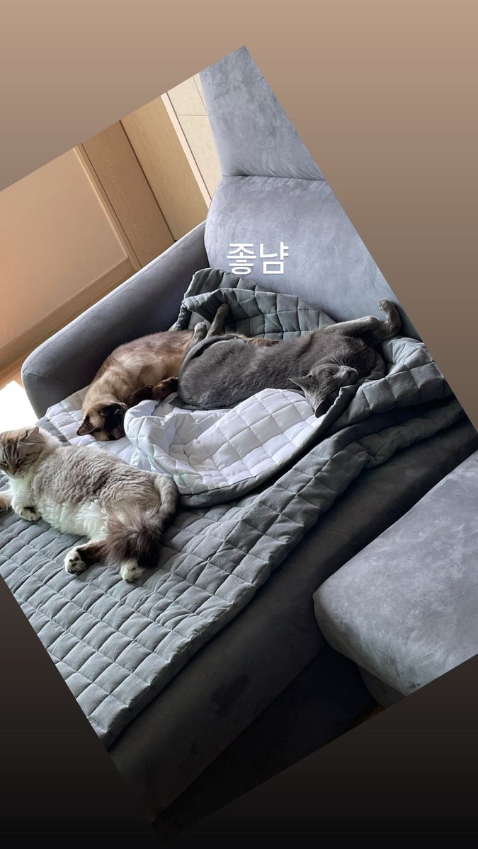 JAYB_STAGRAM's tweet photo. [🌴] JayB IG Story:

좋냠

🔗 https://t.co/ouOwaotu3Y
#Def #JayB #데프 #제이비 #GOT7 @JAYBDEF___
Jul 02 2021, 11:10 AM https://t.co/vgYR2a1Pgw