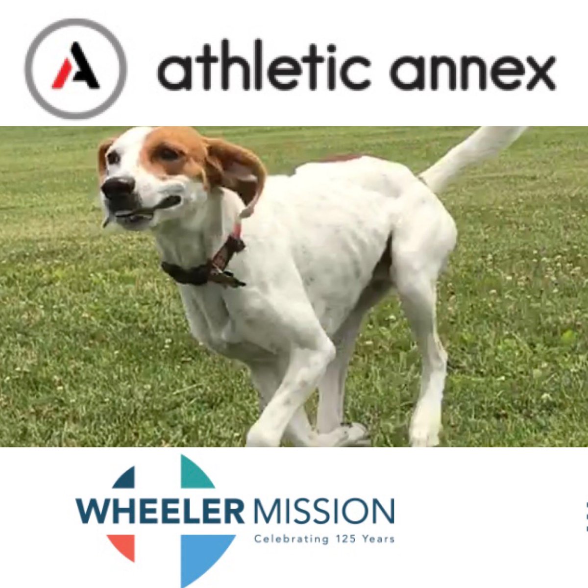 “WooF” This is an all-ages and abilities event. Runners, Walkers, Dogs on leashes, kids and strollers are welcome.  Suggested donations of $10 are accepted in lieu of a registration fee.  All money raised will benefit our non-profit partner, Wheeler Mission.
