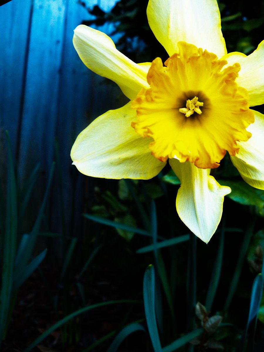 Nicole Elliott tweet media