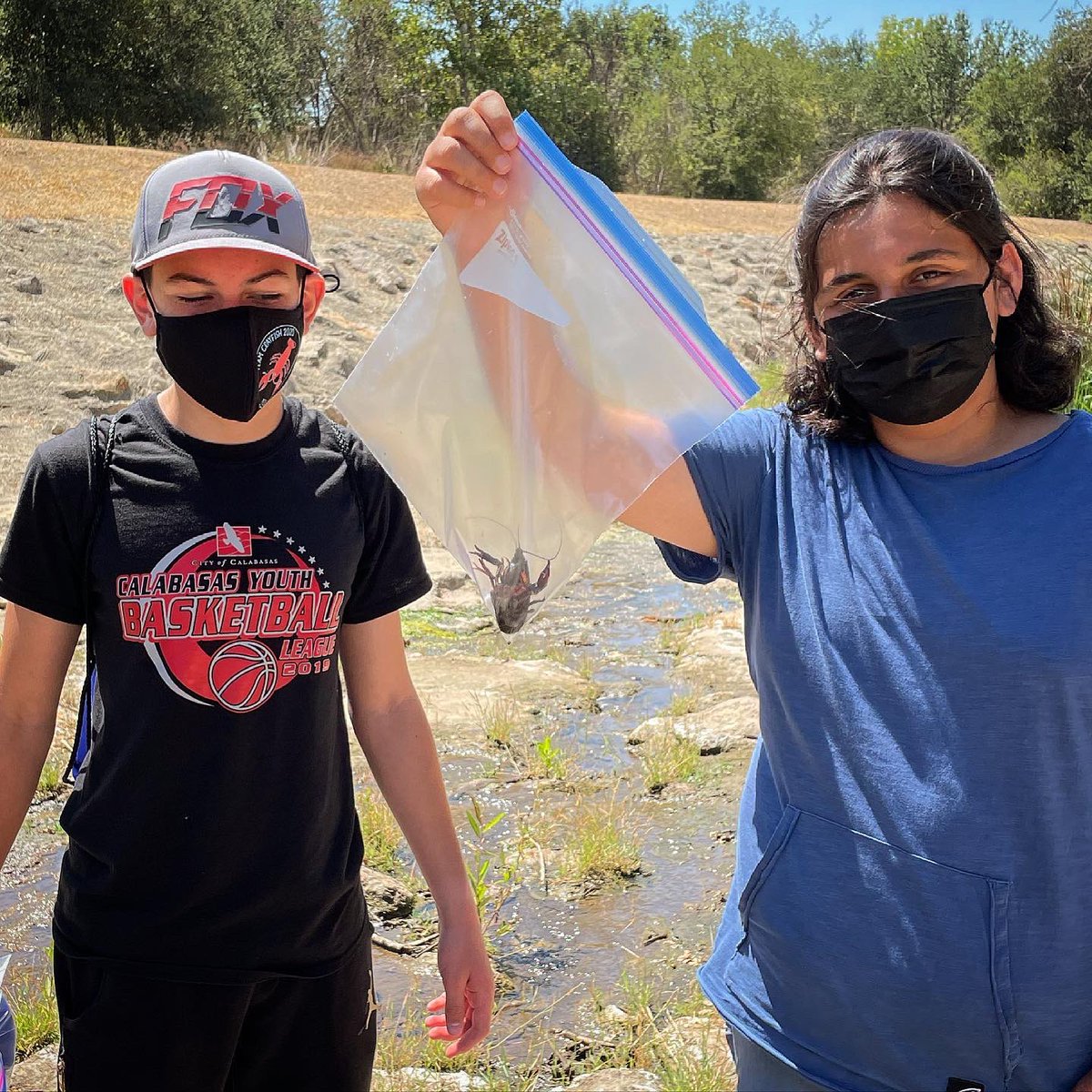 TeamCrayfish's tweet photo. Fun day of setting our summer traps with the Crayfish Club. We caught 14 with our grabbers too. Here’s to hoping the crayfish climbing on the traps actually go in! 

#biodiversity #crayfish #invasivespecies #opshares #teenleaders @earthecho @oakparkusd @rsrpd @MedeaCreekMS https://t.co/milxcZnQhr