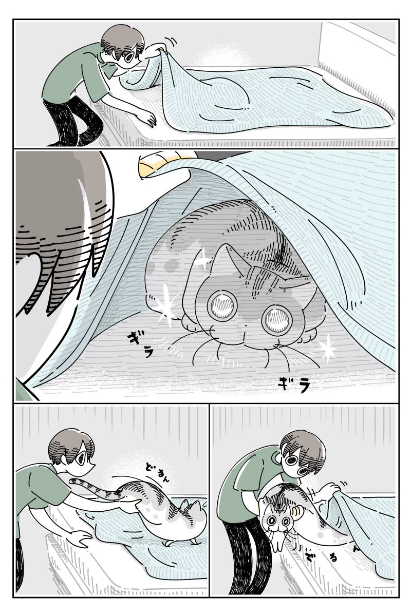 可愛すぎる！ベッドシーツを敷くときの、飼い猫とのやり取りを描いた猫漫画が話題に！