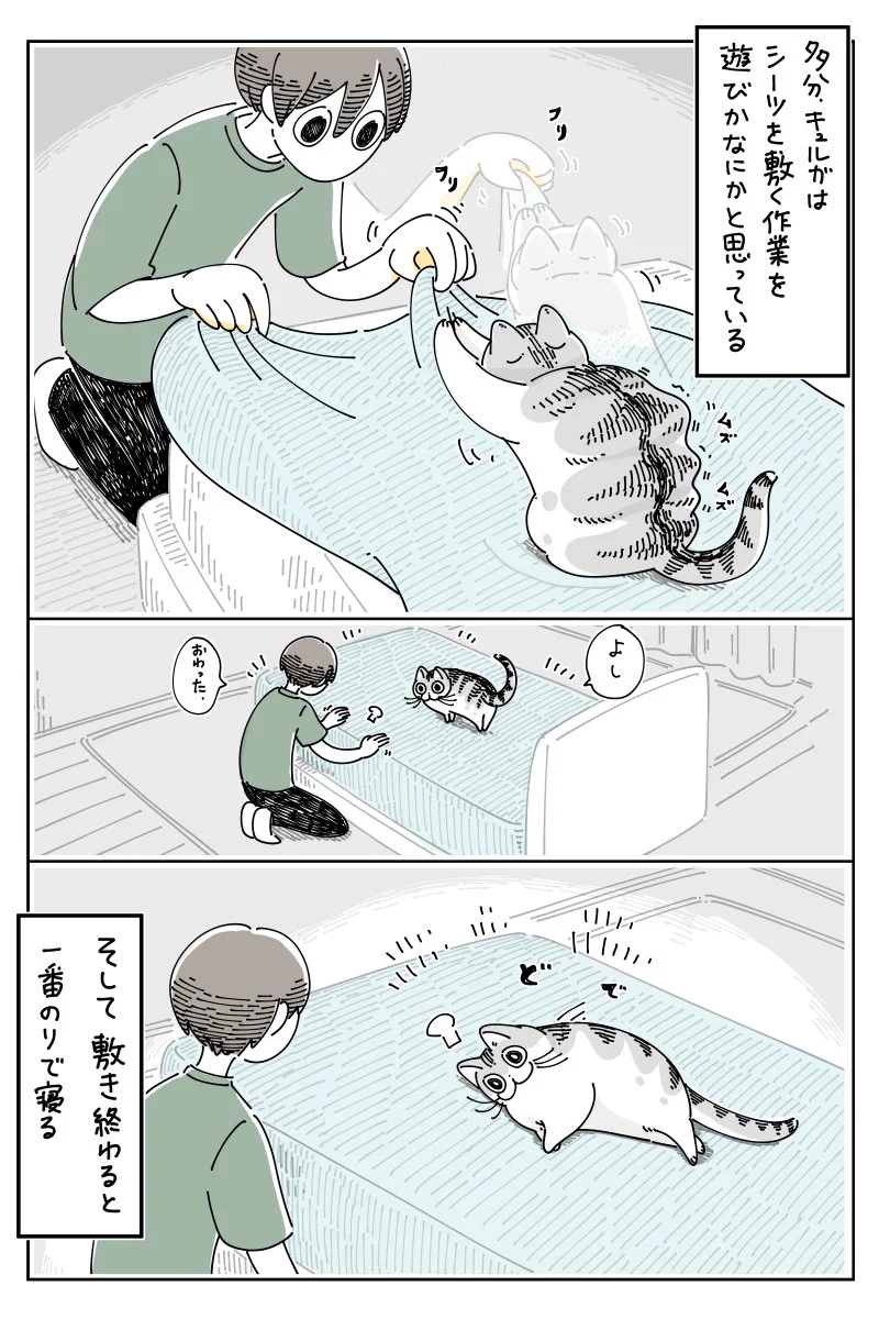可愛すぎる！ベッドシーツを敷くときの、飼い猫とのやり取りを描いた猫漫画が話題に！