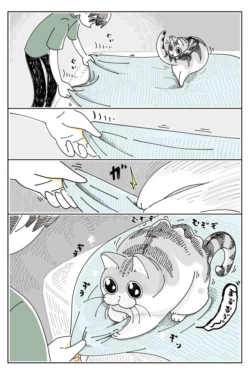 可愛すぎる！ベッドシーツを敷くときの、飼い猫とのやり取りを描いた猫漫画が話題に！