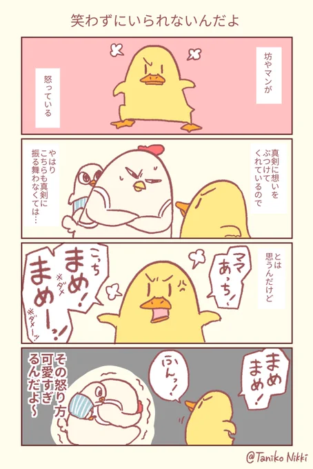 怒り方が可愛すぎる息子#鶏さんの絵日記 