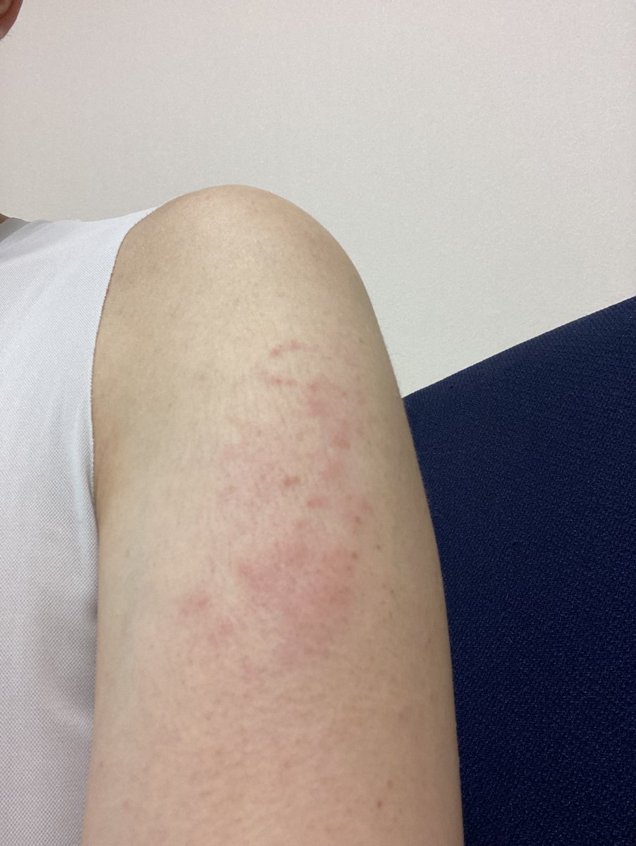 とことこ Tocoyoti Twitter