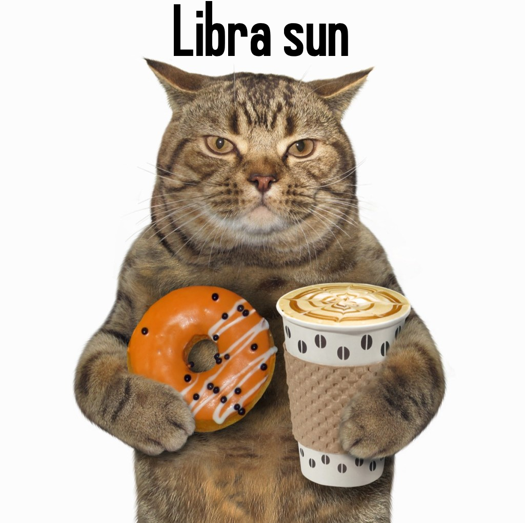 doge_days's tweet photo. your big 4 as cursed images/weird stock photos i have on my phone for some reason! 

rt with yours ✨ https://t.co/RI0UdQuFcX