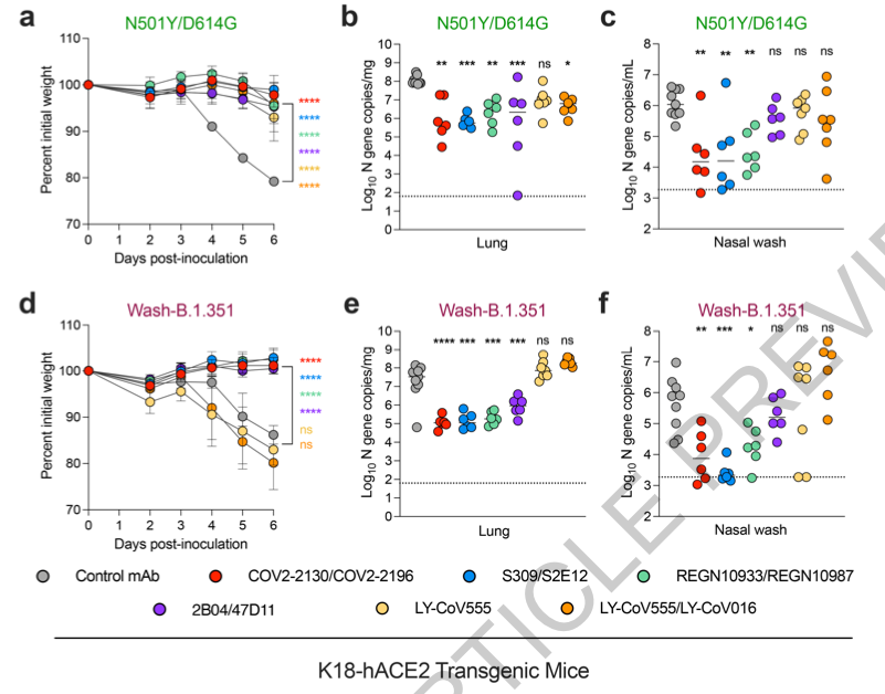 McHeyzer-Williams (@mmw_lmw) on Twitter photo #SARSCoV2_Variant strains | In vivo monoclonal antibody efficacy | Michael Diamond <a href="/WUSTLmed/">Test Account</a> @nature buff.ly/3cZXzKm | #2021_ReCapJune #SARSCoV2_Variant strains | In vivo monoclonal antibody efficacy | Michael Diamond <a href="/WUSTLmed/">Test Account</a> @nature buff.ly/3cZXzKm | #2021_ReCapJune