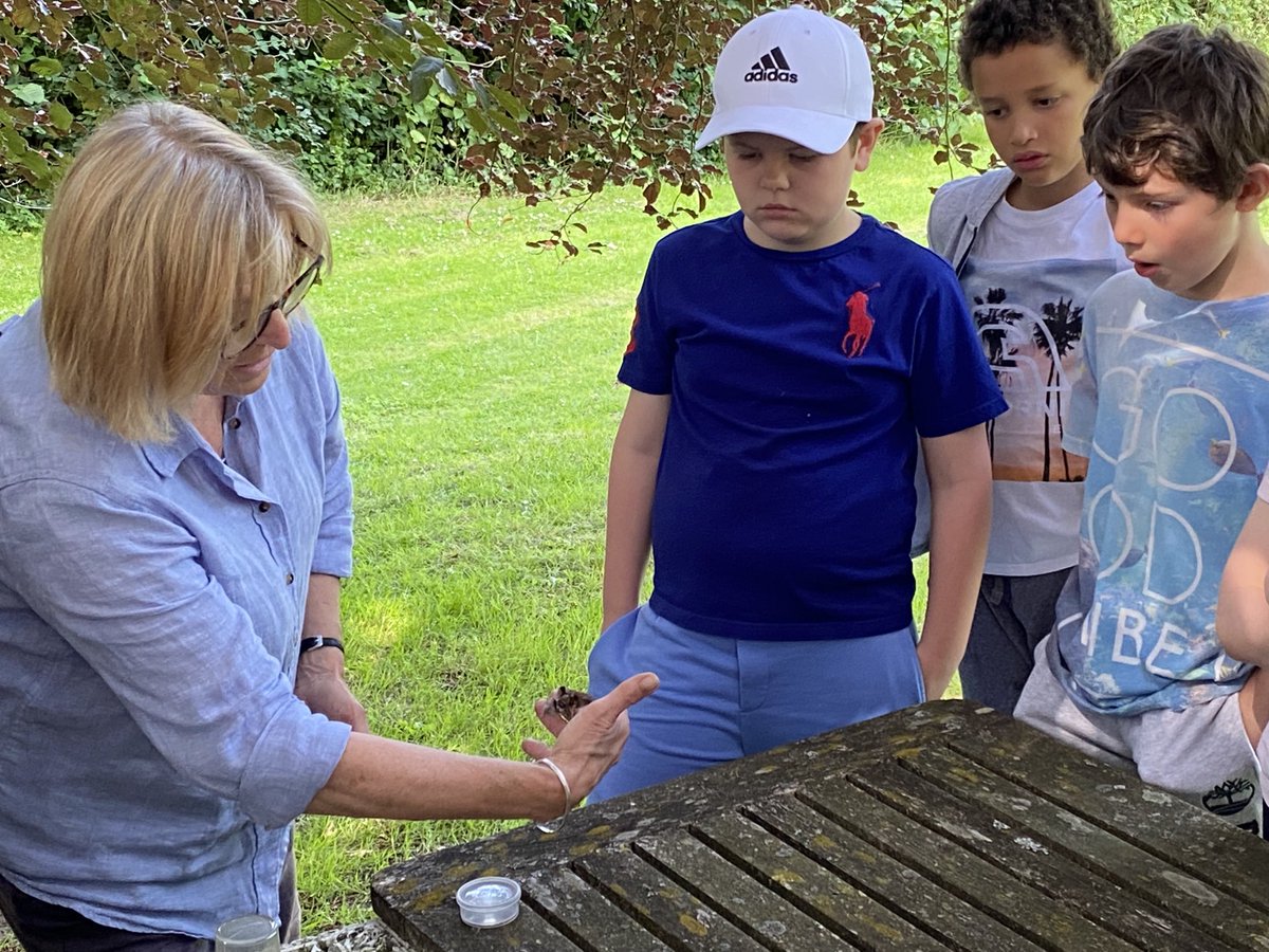 Head of Prep | St Columba's College tweet media