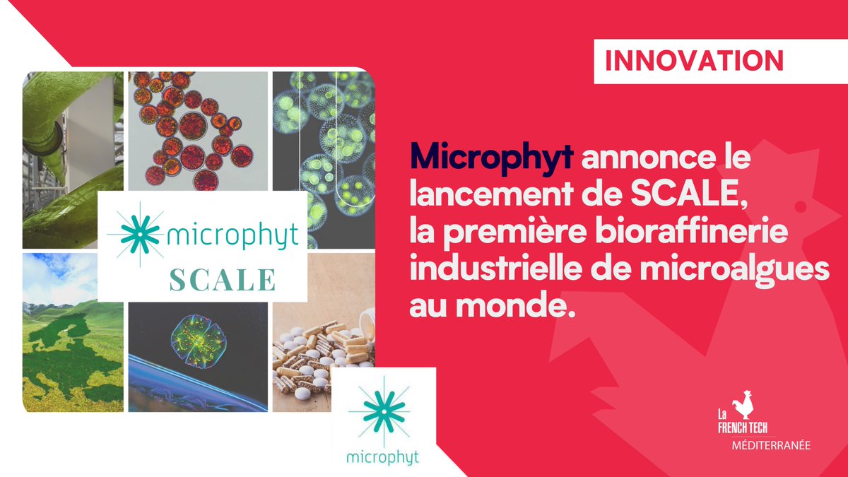 ⚡<a href="/Microphyt/">Microphyt</a> reçoit Ia + importante subvention européenne octroyée par le partenariat public-privé « Bio-based Industries Joint Undertaking » de 15 M d'€. 
Objectif : construire la 1ère bioraffinerie industrielle de microalgues au monde 

👉linkedin.com/feed/update/ur…

#FT120