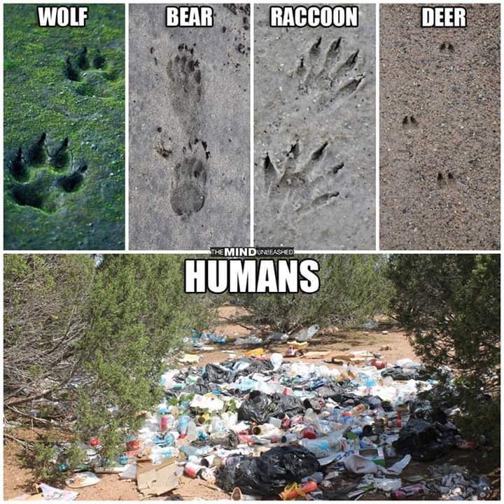 SudhaRamenIFS's tweet photo. The human footprint 😐 https://t.co/KcvFgWy6XR