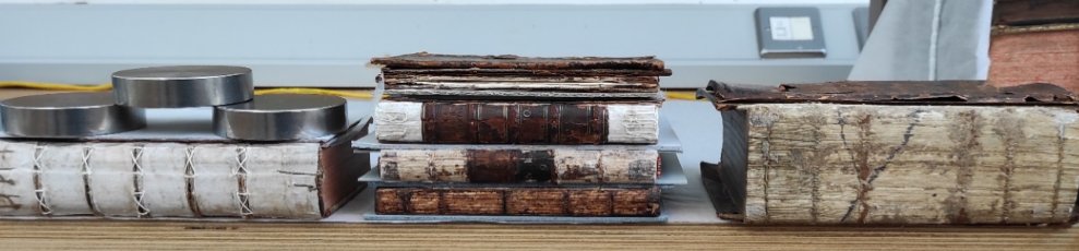Conservation of Fagel Collection books