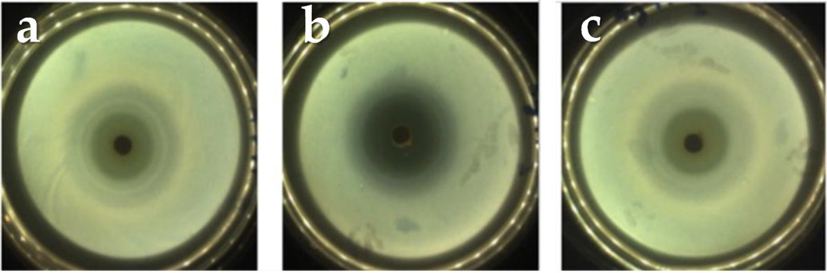 CancerNemi's tweet photo. Effect of the Addition of Alginate and/or Tetracycline on Brushite Cement Properties

Claudia Morilla et al.

|Molecules|

https://t.co/efZepqMBup

#H2020 #MSCA #cancerproject https://t.co/8VH5k99ngX
