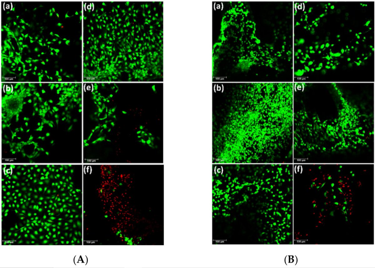 CancerNemi's tweet photo. Synthesis and Evaluation of AlgNa-g-Poly(QCL-co-HEMA) Hydrogels as Platform for Chondrocyte Proliferation and Controlled Release of Betamethasone

Jomarien García-Couce et al.

|International Journal of Molecular Sciences|

https://t.co/b21RlB6lSX

#H2020 #MSCA #cancerproject https://t.co/HRGo1ow77J