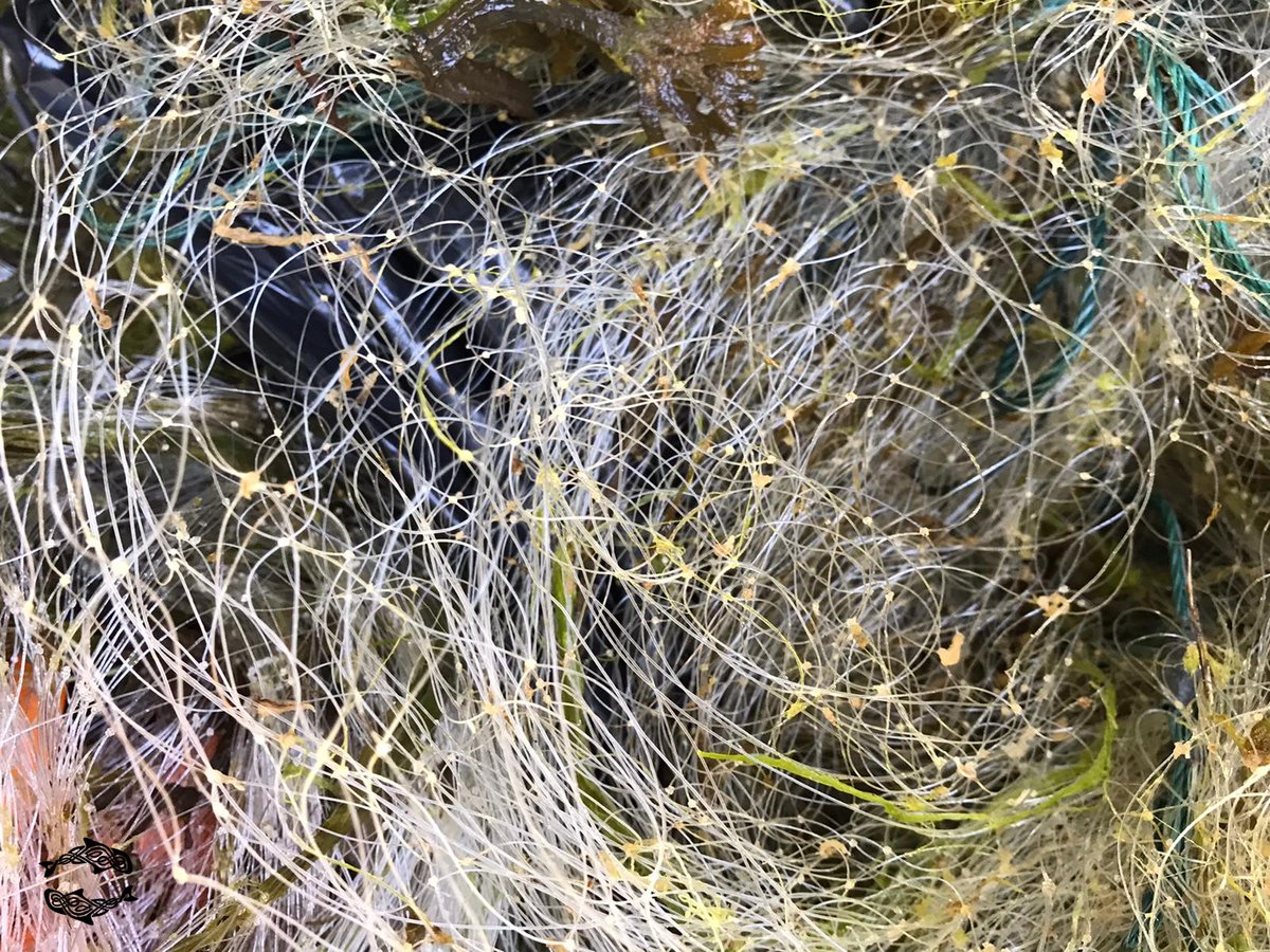 Yesterday, the community confiscated more illegal monofilament nets from repeat offenders on the SSSI &amp; returned the captured fish back into #ourseas. We will take nets down &amp; report #wildlifecrime to @marinescotland RIB crew, @NatureScot_SA &amp; <a href="/North_Ayrshire/">North Ayrshire Council</a>