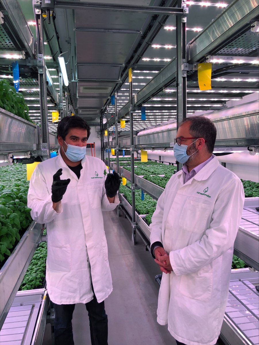HarvestLondon_'s tweet photo. Fantastic to host Small Business Minister @scullyp to show how vertical farming can help us make the food system more #sustainable, and contribute to the UK's environment goals #COP26 https://t.co/Vv5C7iiSLG
