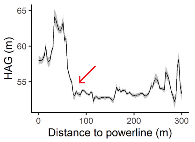 jmarcelinopt's tweet photo. We also estimate that white storks react to power lines at 80m by adjusting their flight altitudes upward!

Also, check our @BirdsMove project! https://t.co/0ZsEs24fRu