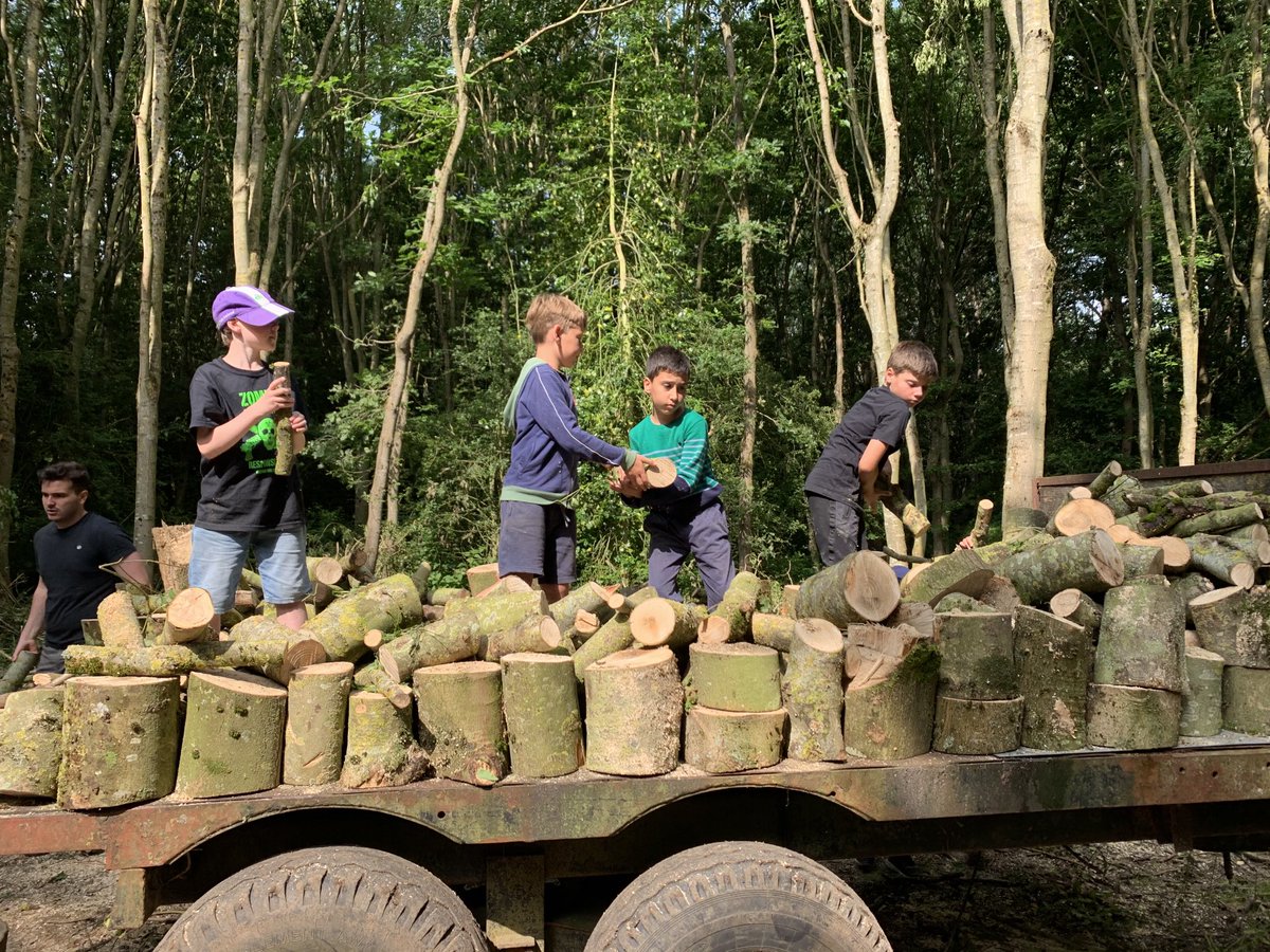 Head of Prep | St Columba's College tweet media