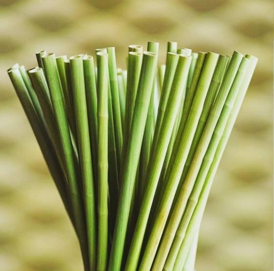 myecoquote's tweet photo. We are working on this, stay tuned. #grassstraws #ecofriendlyproducts🌿 #sustainablematerials https://t.co/XTOtElTkZ0