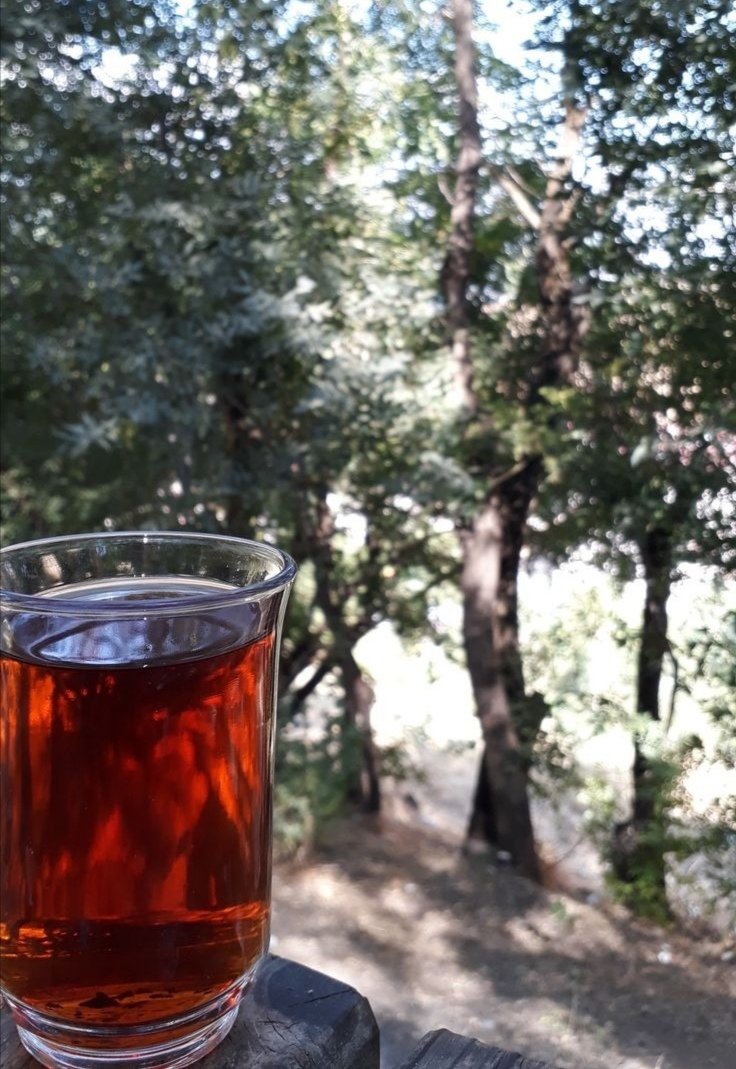 Beyazmeneke2's tweet photo. Sen düştüğün zaman umudunu,
Kalktığın zaman kişiliğini kaybetme.
Allah kalbi kötü olanı düşürmeyi de,
Kalbi temiz olanı yerden kaldırmayı da
iyi bilir merak etme ..
Hayırlı Cumalar  ..🌹
#2Temmuz
#Cuma
#HayırlıSabahlar
#Günaydın
#Hayırlı_Cumalar https://t.co/5apozzswlA