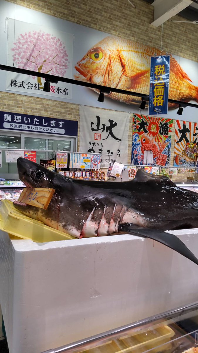 さんだ天文クラブ Sandaastro Twitter