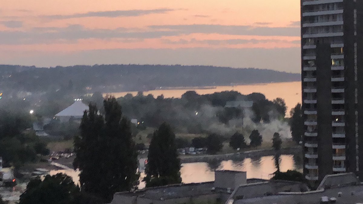 Is the alleged “Canada Day” anti-vax sovereign citizen dance party in Vanier Park on fire? <a href="/ParkBoard/">Vancouver Board of Parks and Recreation</a>