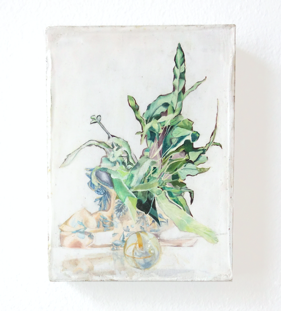 DMWGallery's tweet photo. #DMW is participating in #ArtRotterdam in a joint booth with #BaseAlpha. From 1-4 July you can find us at Booth 20 in the #VanNelleFabriek in #Rotterdam, with a selection of new and recent works by our #artists.⁠
⁠
Image: #ÉmilieTerlinden, 'Phlebodium Aureum', 2020. https://t.co/mZHQQGCg59