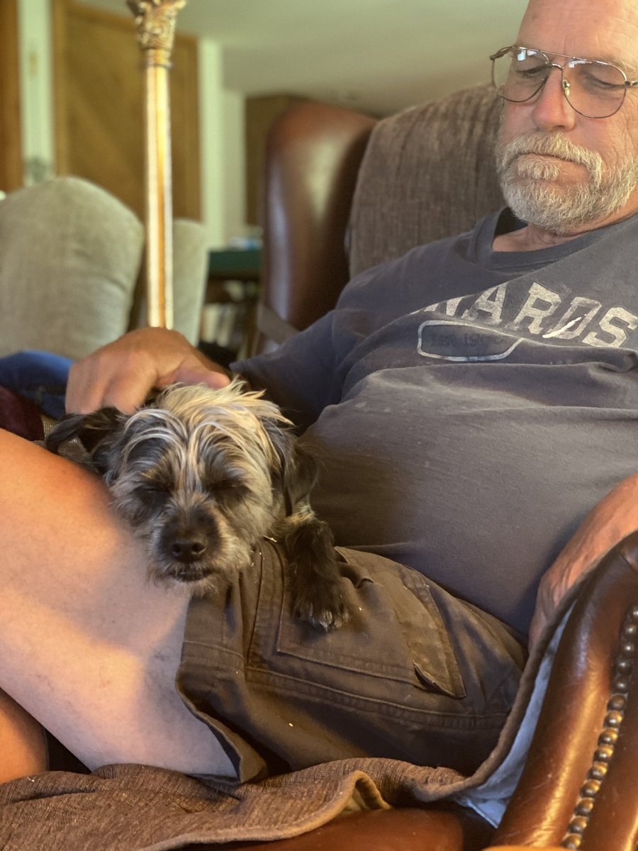 Jenn Schaal tweet media