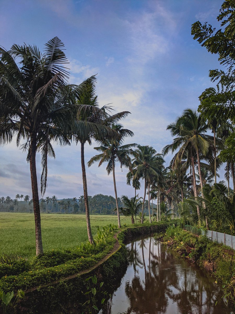 AmalMoh29300631's tweet photo. I miss the wide angle in #pixel4a4g but it also gives a wide angle #teampixel #shotonpixel #pixel4a #shotongoogle #googlepixel #pathanamthitta #naturephotograpahy  #naturevibes #NatureBeauty  #googlecam #madebygoogle https://t.co/i5ZFzo8kpW