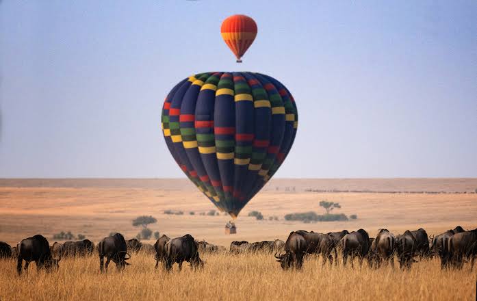 Crinnow's tweet photo. #BBIAppealHearing #twendemaasaimara @magicalkenya 

#TeamCrinnow https://t.co/UmbxCzmjGe