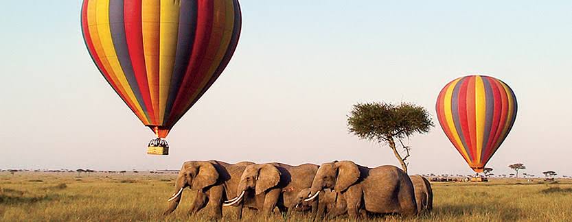 #BBIAppealHearing #twendemaasaimara <a href="/magicalkenya/">Kenya Tourism Board</a> 

#TeamCrinnow