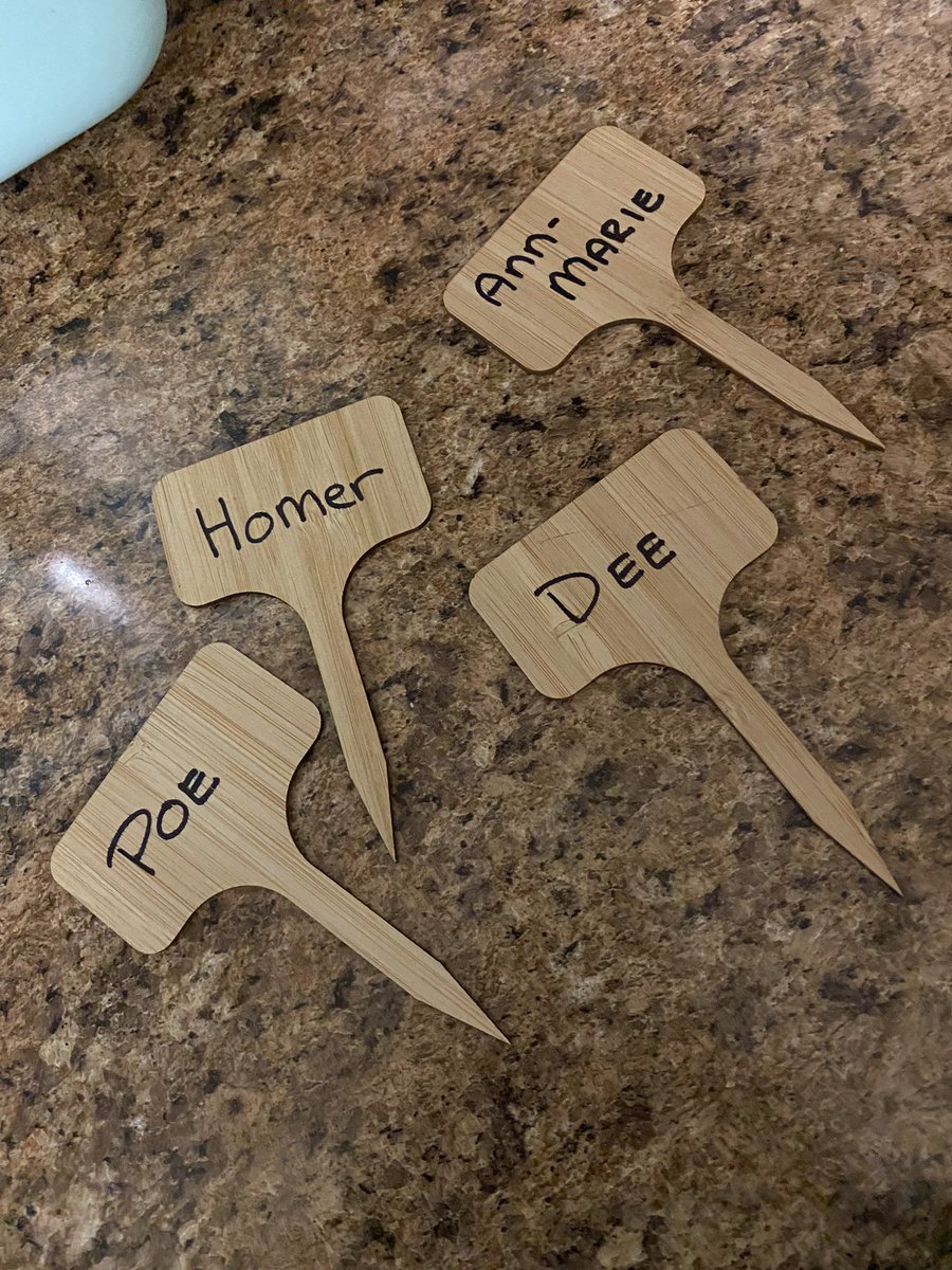 Name stakes are made for my work plants! (Only one stays at work!)