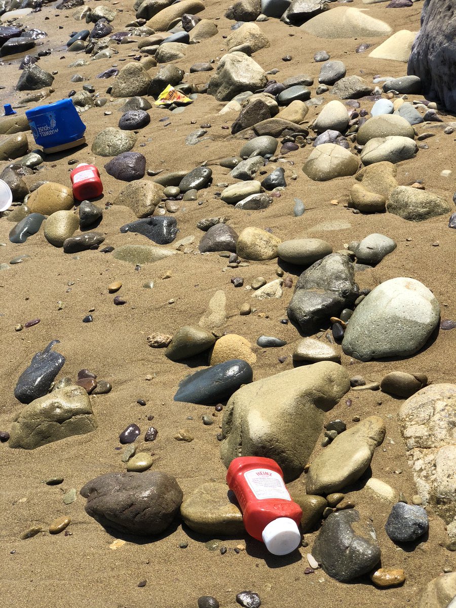 topherless's tweet photo. Kayaked Catalina today, found a cozy beach to land. But what?! Tons of plastic garbage! Time to repurpose that cooler for a cleanup!@CIConservancy wouldn’t it be great if we could mobilize the other tourists to do the same? Maybe a $10 off coupon for bringing back a bag of trash? https://t.co/tN6iNuSXi5