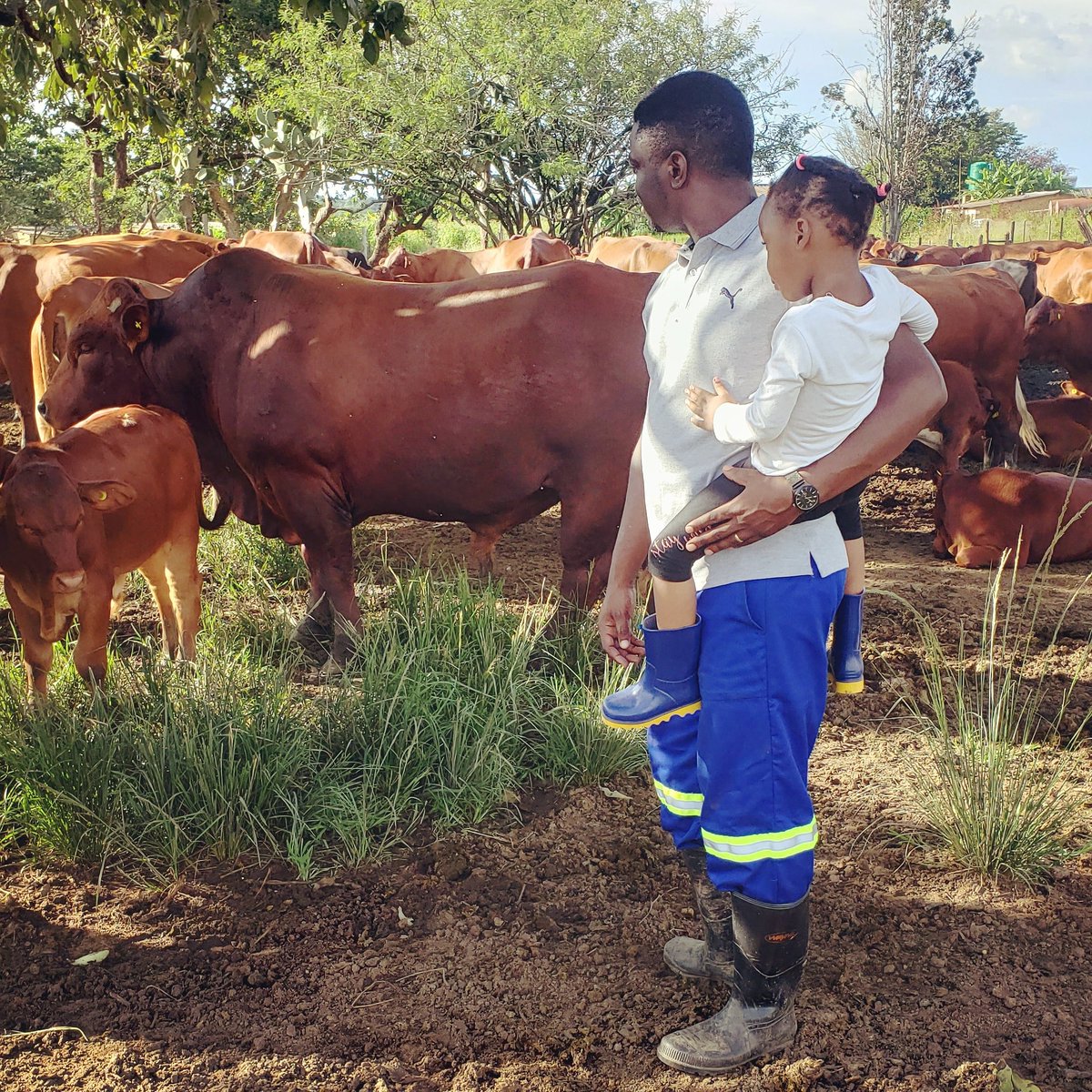 ThisIsRusso's tweet photo. Dream about it, believe it is possible then make it happen..#TheBeefGuy👊 #FarmLife2❤ https://t.co/8RSH4I4PpX