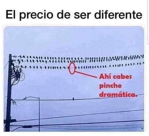 America25444429's tweet photo. ¿Es ahora el momento de ser diferente? ¿Es ahora el momento de soltar el miedo ? ¿Es ahora el momento de ser tú? ...si es así GUEPARDAS te está buscando 🏈💪
@CoachLuisOrtiz @coachbaloo @GuepardasFootballSLP 
#FBA #uncoachdice #marketingdeportivo #CEFF #football #marcadeportiva https://t.co/ViKr4MxWEa